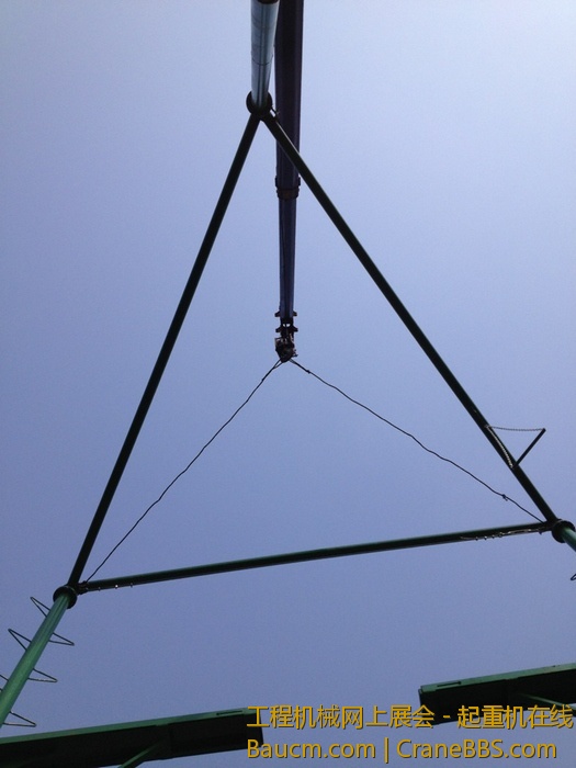 nEO_IMG_毛毛 358.jpg