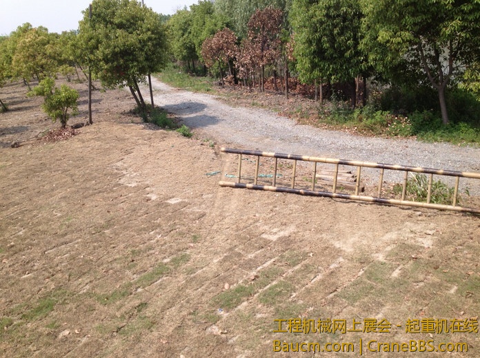 nEO_IMG_毛毛 350.jpg