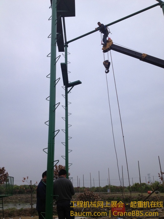 nEO_IMG_毛毛 425.jpg