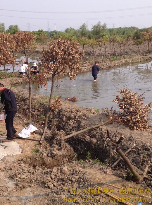 nEO_IMG_毛毛 360.jpg