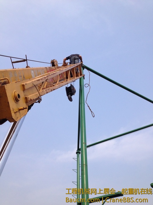 nEO_IMG_毛毛 361.jpg