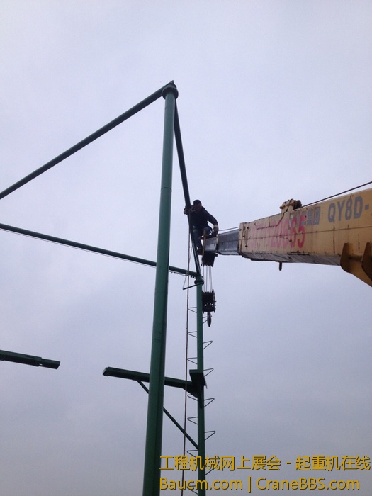 nEO_IMG_毛毛 423.jpg