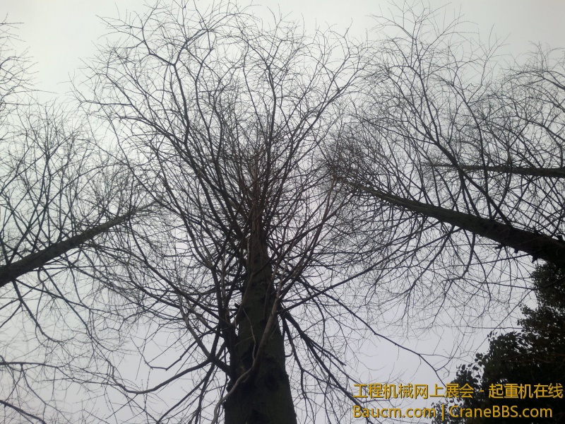 2013-02-26-475.jpg