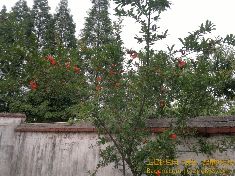 2013-05-04-207.jpg