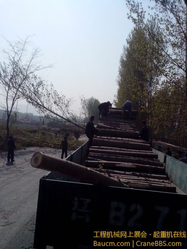 IMG_20130508_082317.jpg
