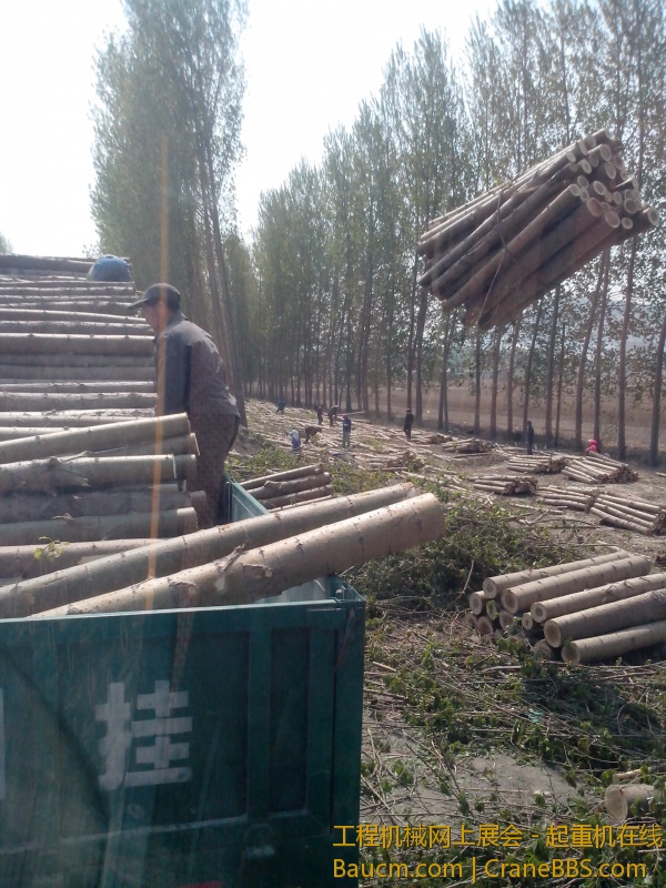 IMG_20130508_095933.jpg