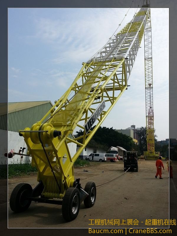 p4.jpg