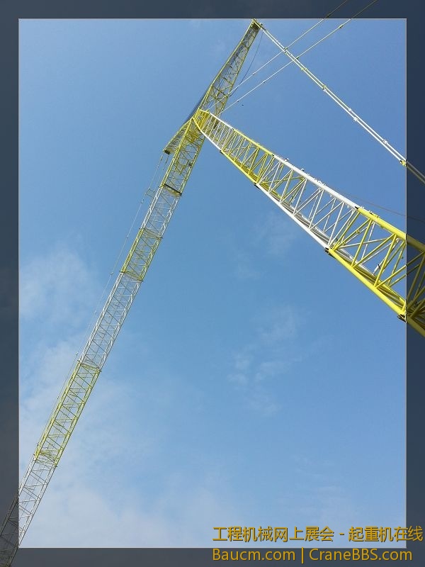 p9.jpg