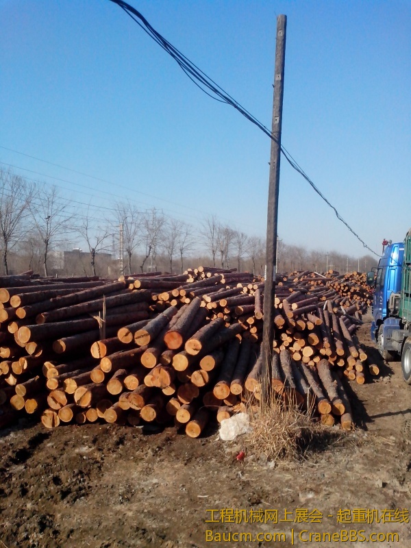 IMG_20130322_152128.jpg
