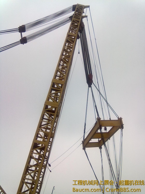 20130324447.jpg