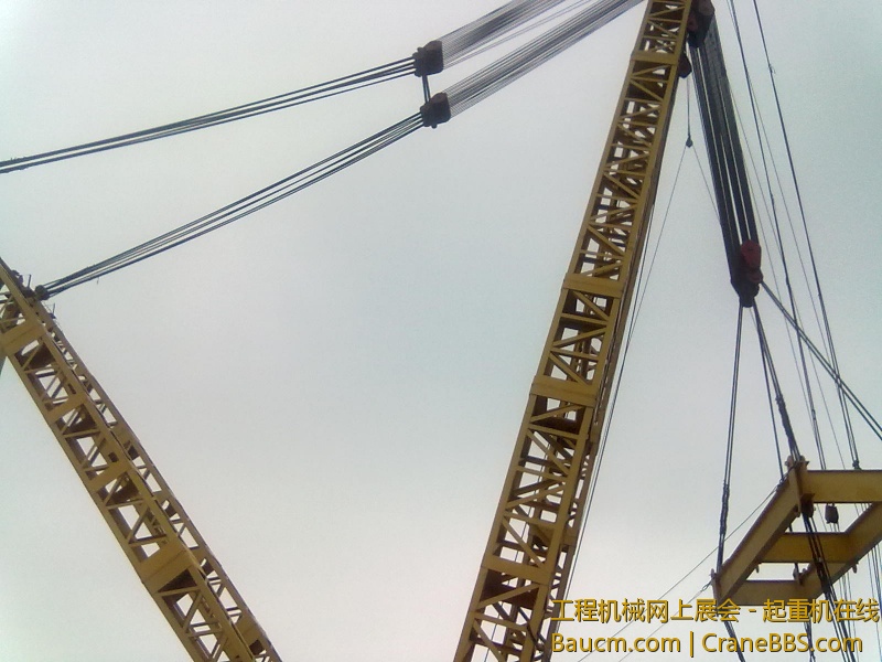 20130324448.jpg