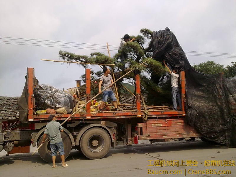 201303261180.jpg