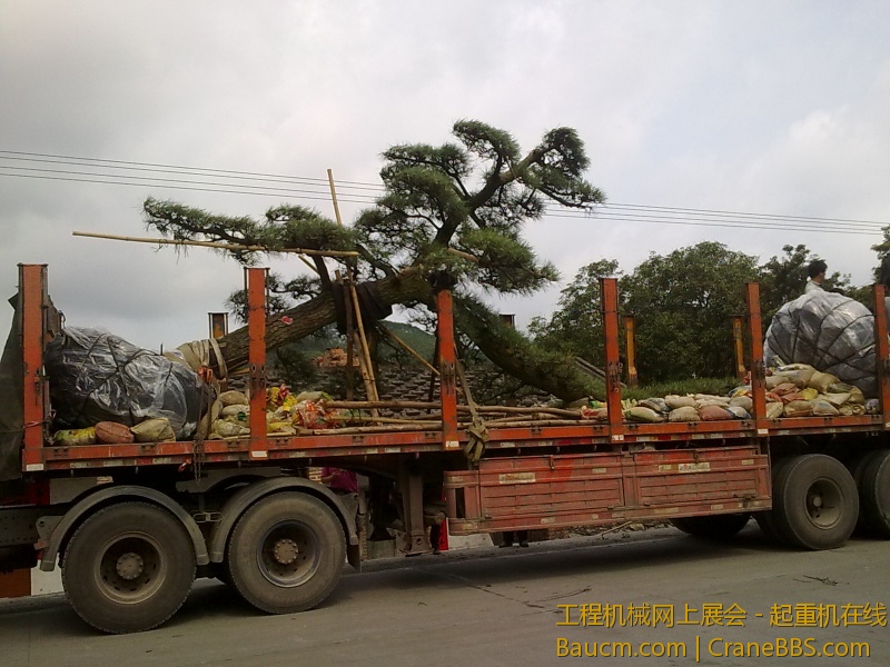 201303261181.jpg