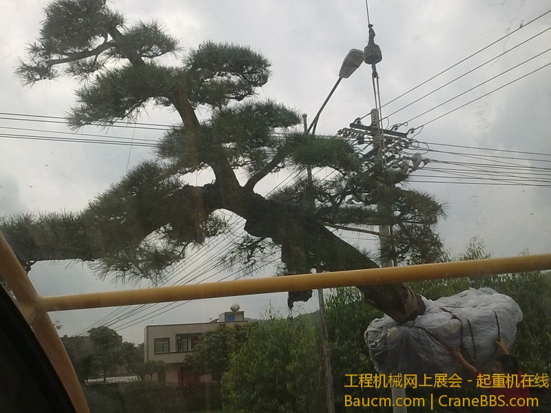 201303261193.jpg