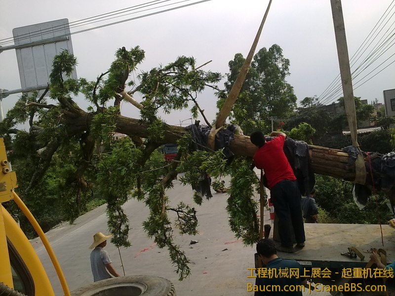201303261200.jpg