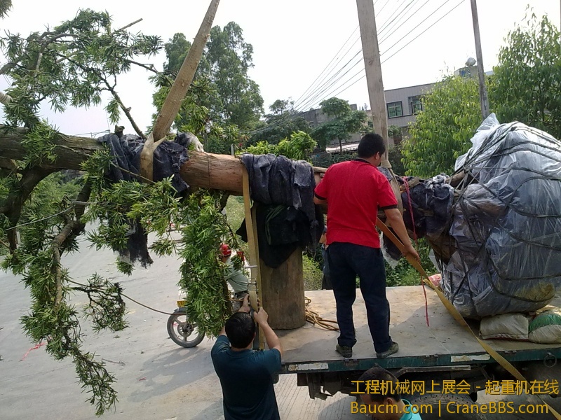 201303261201.jpg