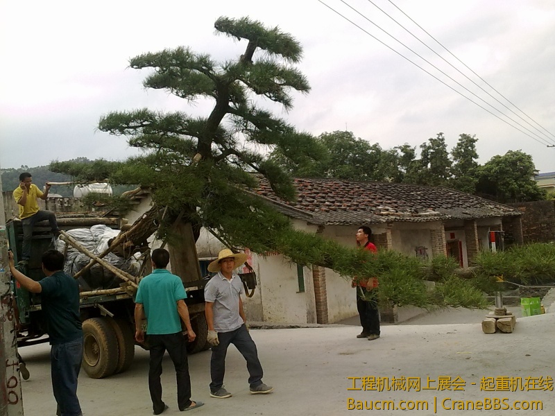 201303261195.jpg