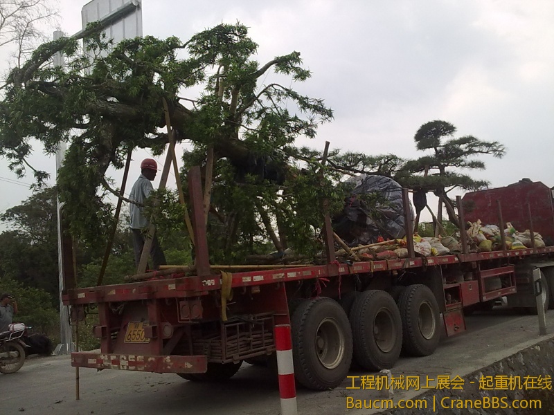 201303261196.jpg