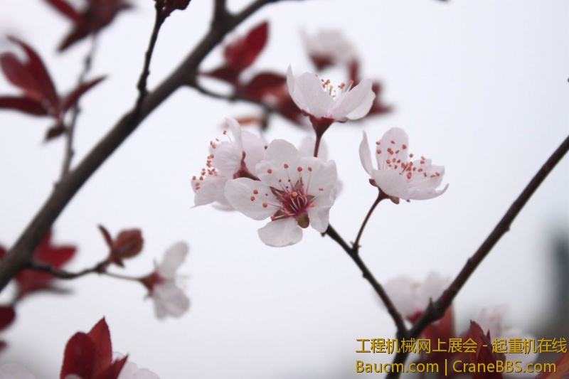 调整大小 IMG_9694.JPG