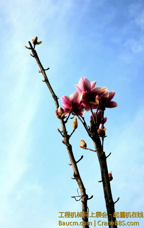 调整大小 旋转 IMG_9754.JPG