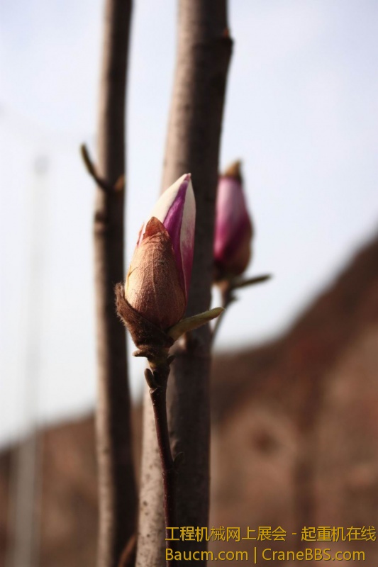 调整大小 旋转 IMG_9750.JPG