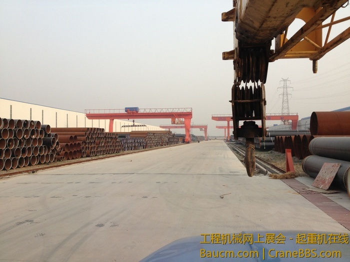 nEO_IMG_毛毛 334.jpg