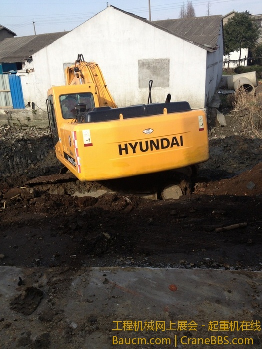 nEO_IMG_毛毛 284.jpg