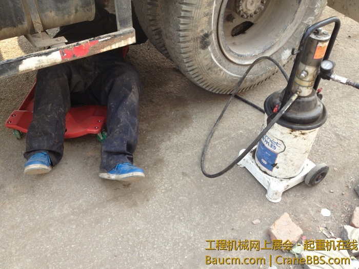 nEO_IMG_毛毛 343.jpg