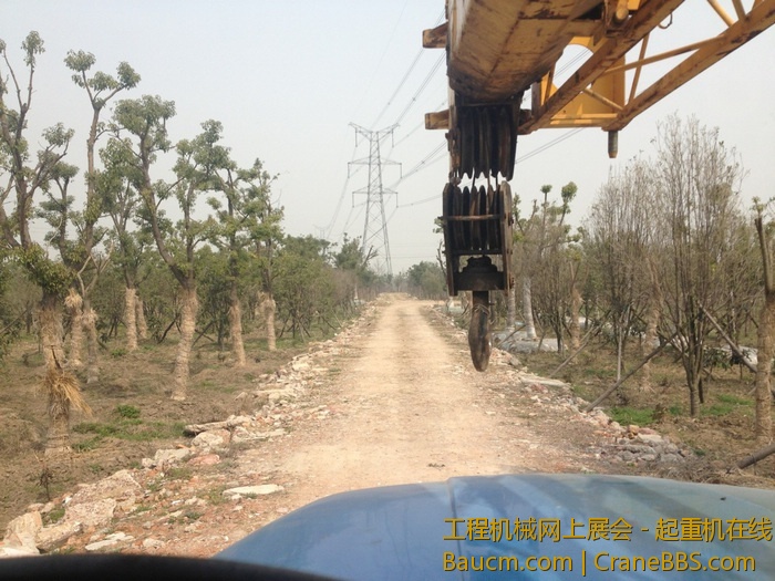 nEO_IMG_毛毛 352.jpg