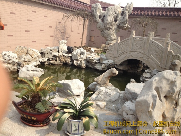 nEO_IMG_毛毛 353.jpg