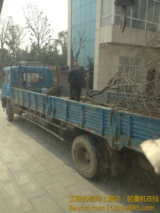 nEO_IMG_毛毛 354.jpg