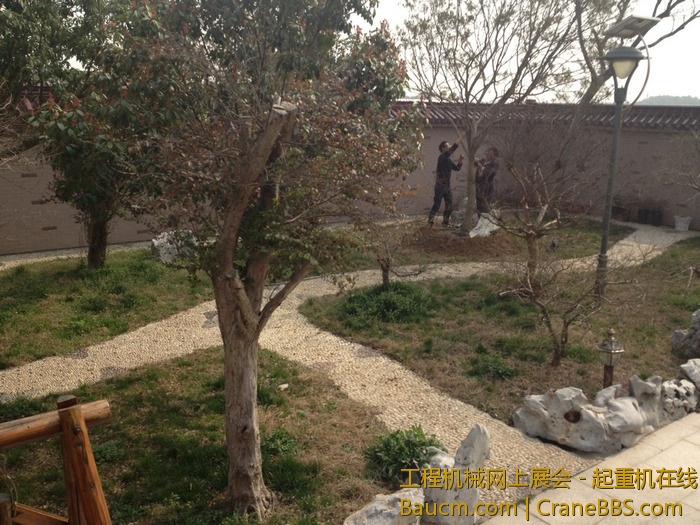 nEO_IMG_毛毛 355.jpg