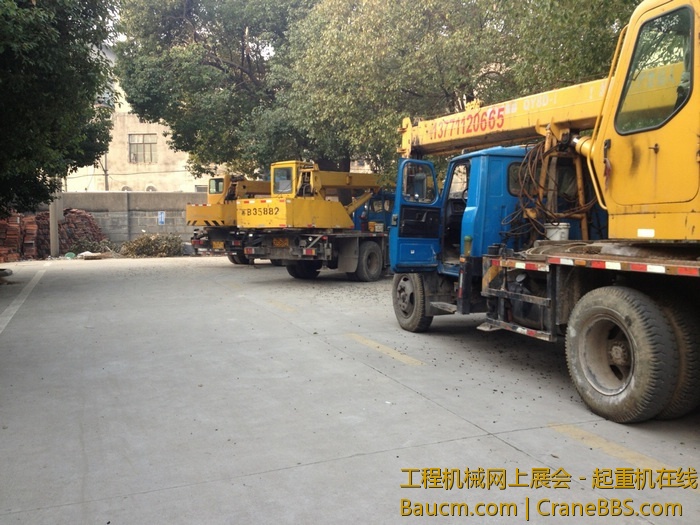 nEO_IMG_毛毛 375.jpg