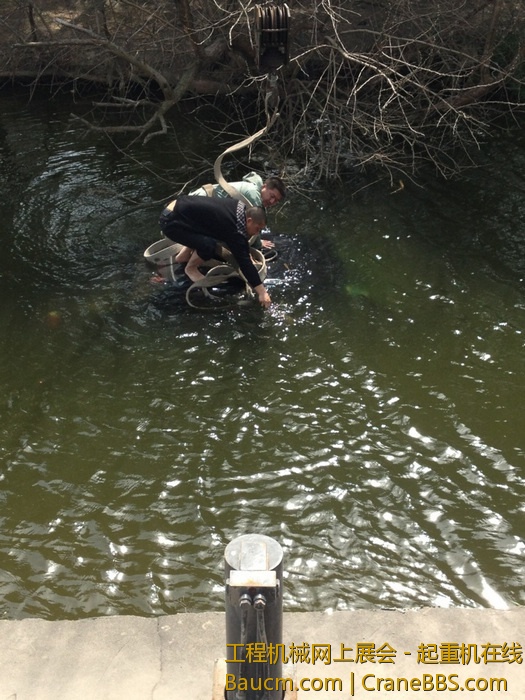 nEO_IMG_毛毛 388.jpg