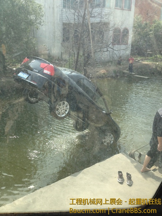 nEO_IMG_毛毛 394.jpg