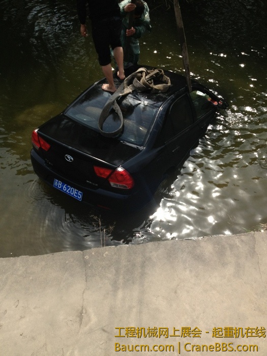 nEO_IMG_毛毛 390.jpg