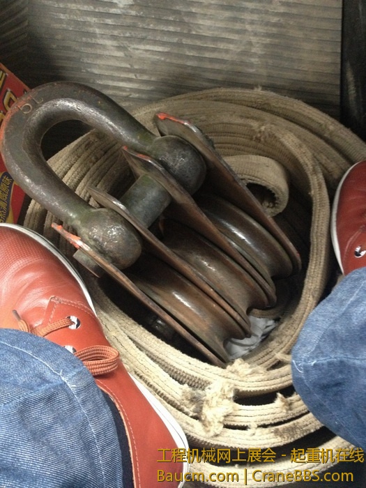 nEO_IMG_毛毛 445.jpg