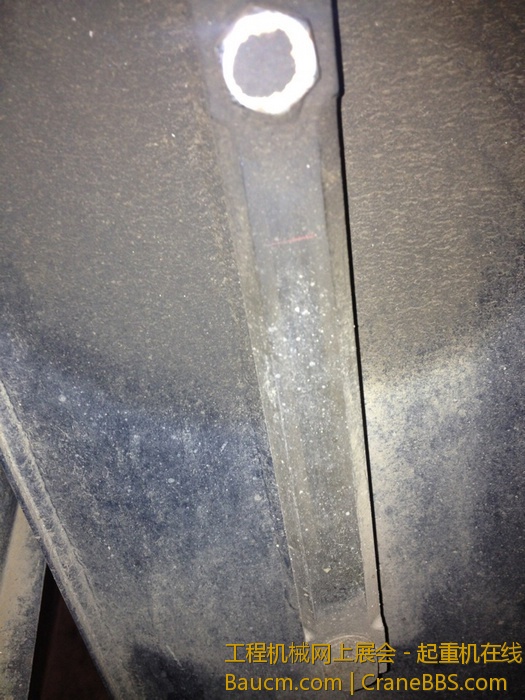 nEO_IMG_毛毛 450.jpg