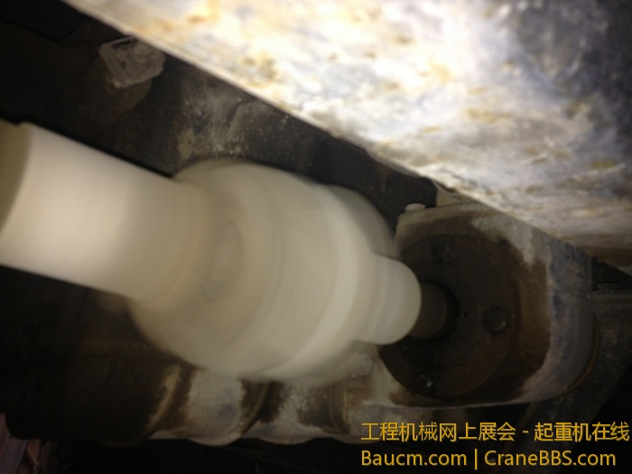 nEO_IMG_毛毛 451.jpg