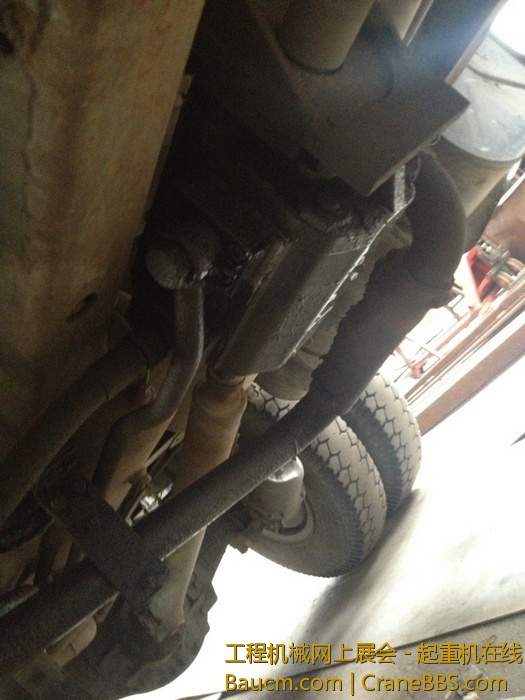 nEO_IMG_毛毛 452.jpg