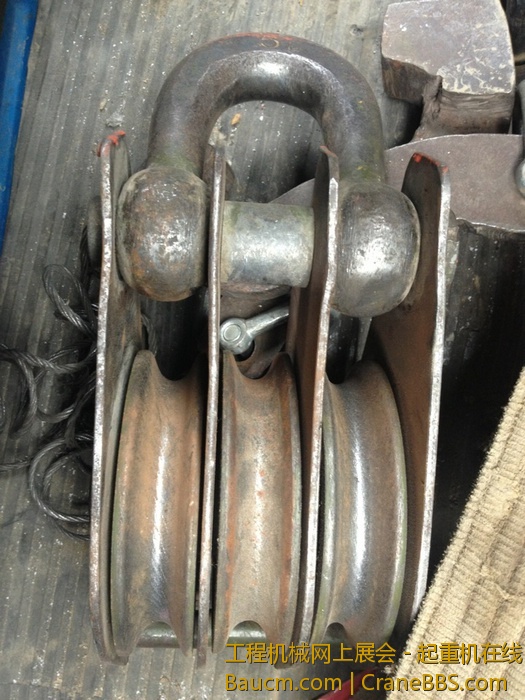 nEO_IMG_毛毛 456.jpg