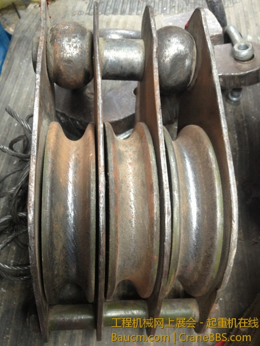 nEO_IMG_毛毛 457.jpg