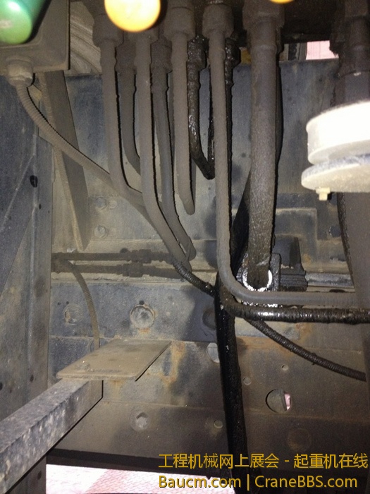 nEO_IMG_毛毛 449.jpg