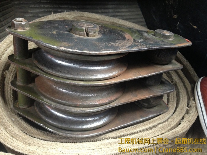 nEO_IMG_毛毛 458.jpg