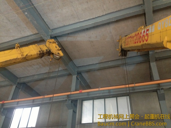 nEO_IMG_毛毛 480.jpg