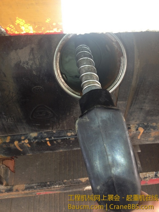 nEO_IMG_毛毛 498.jpg