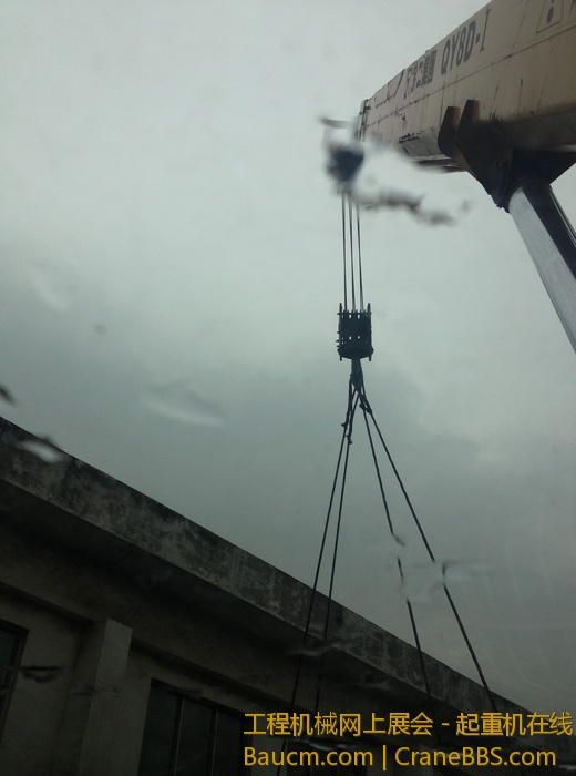 nEO_IMG_毛毛 508.jpg