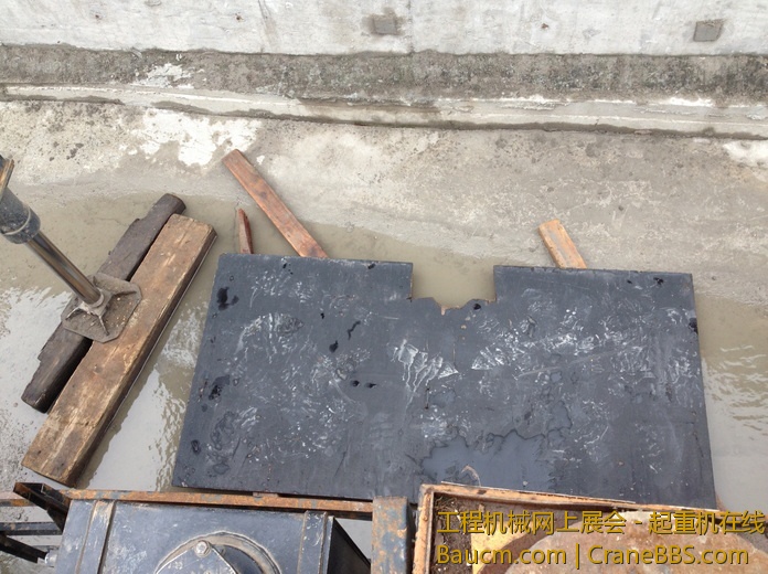 nEO_IMG_毛毛 516.jpg