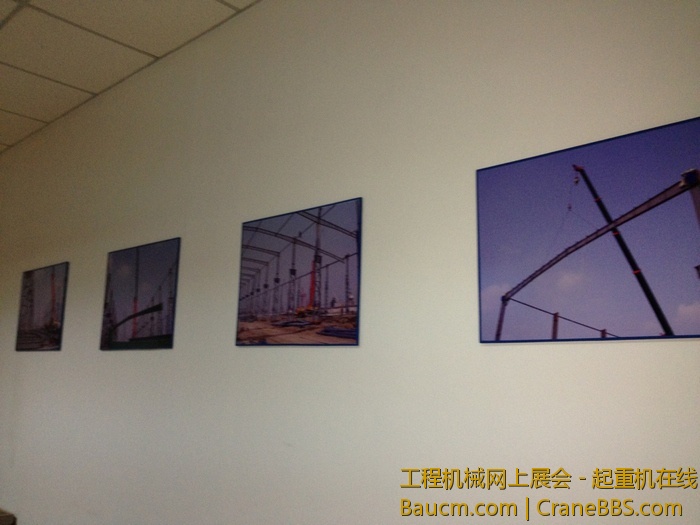 nEO_IMG_毛毛 524.jpg