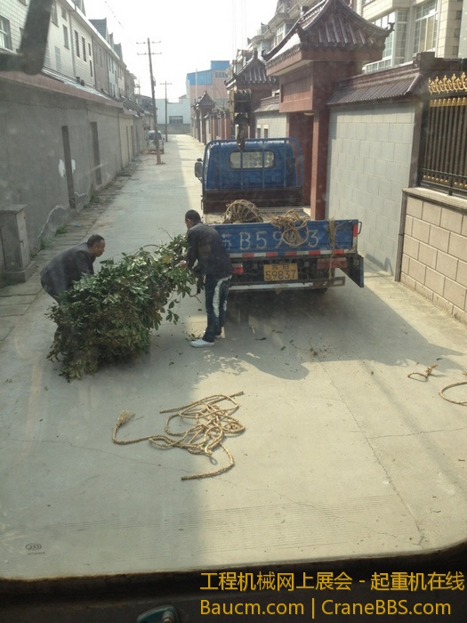 nEO_IMG_毛毛 574.jpg